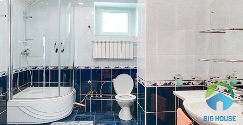 cách chọn gạch ốp nhà vệ sinh kích thước nhỏ 3